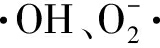 width=58,height=17,dpi=110